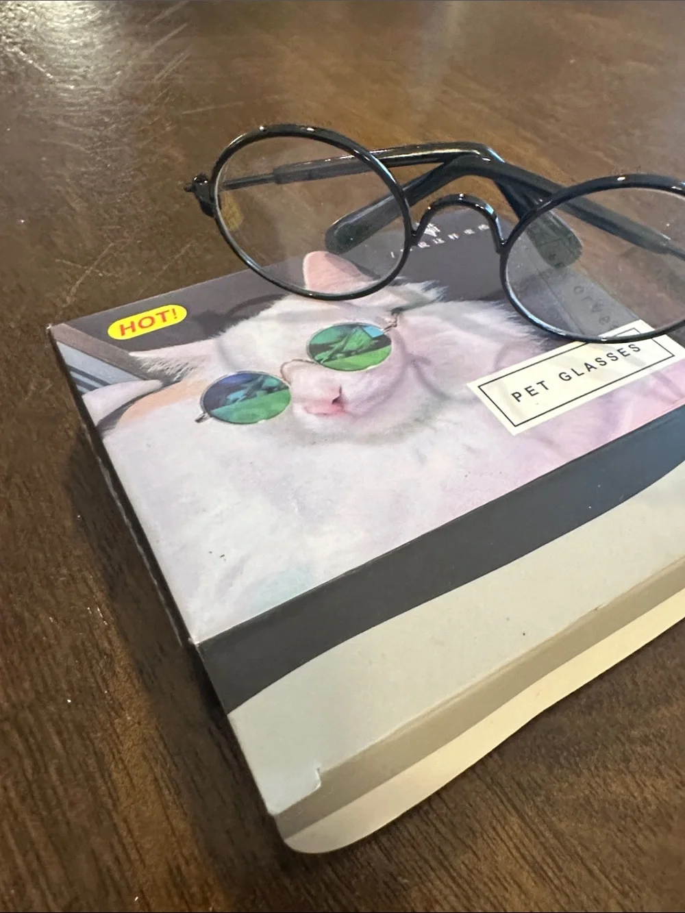 Pet Glasses for Cats - Black Frame